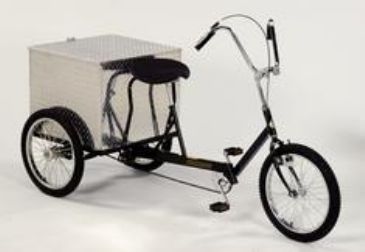 trailmate ez roll regal trike