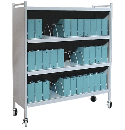 https://www.rehabmart.com/images_html2/Omnimed/OMN-261536-Large%20Vertical%20Cabinet%20Style%20Chart%20Rack.jpg