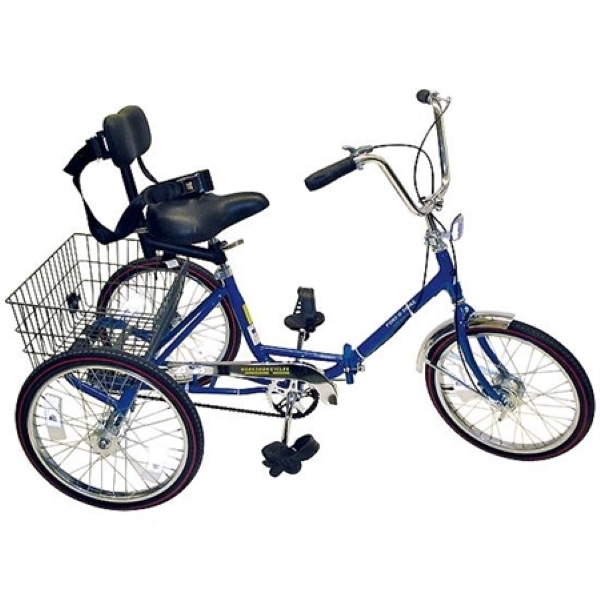 Academy 2024 adult tricycle