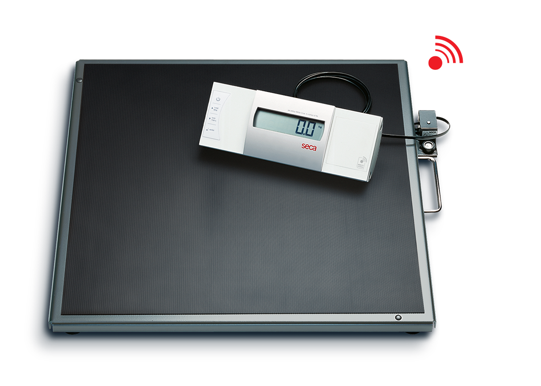  seca 813 - High Capacity Digital Flat Scale for