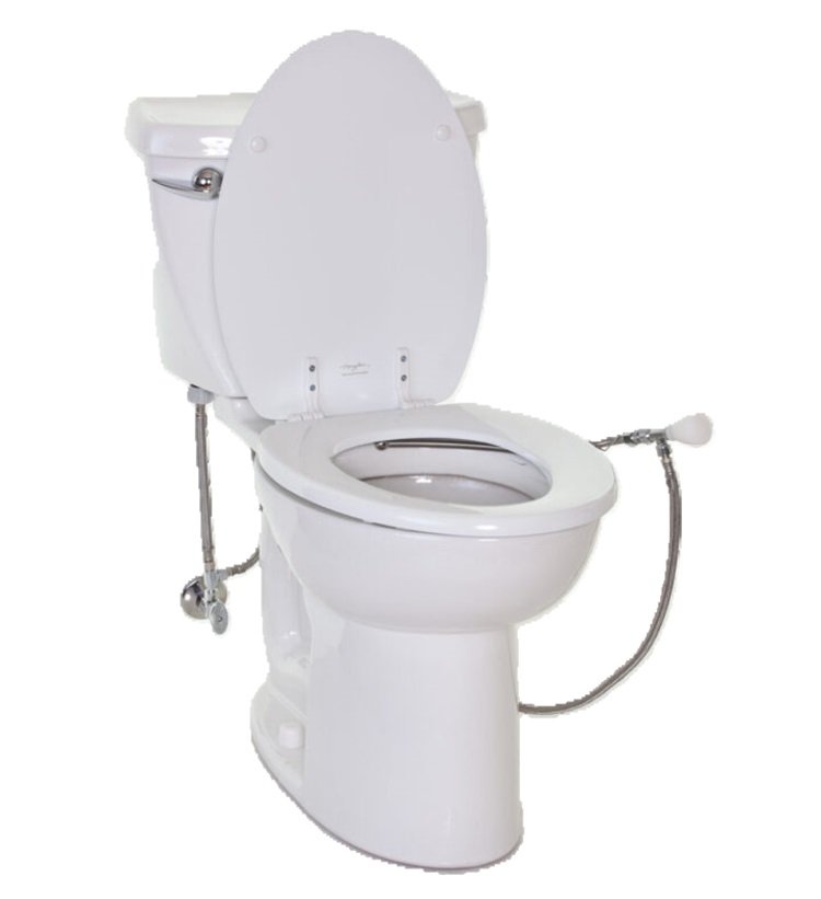 Bidematic toilet bidet device