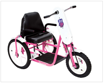 large tricycle special needs