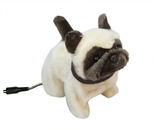 Pug