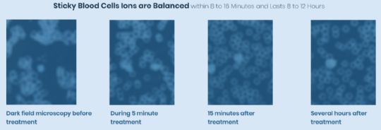 PureWave PEMI Full Body PEMF Mat System with images showing blood cells before and after use.