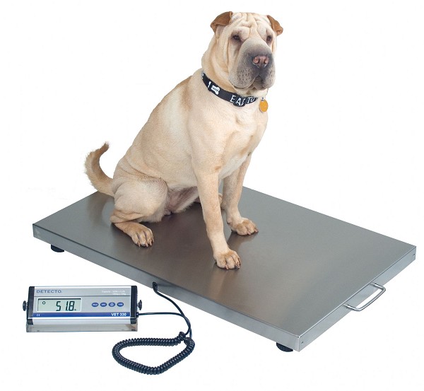 Digital Veterinary Scale ON SALE - FREE Shipping