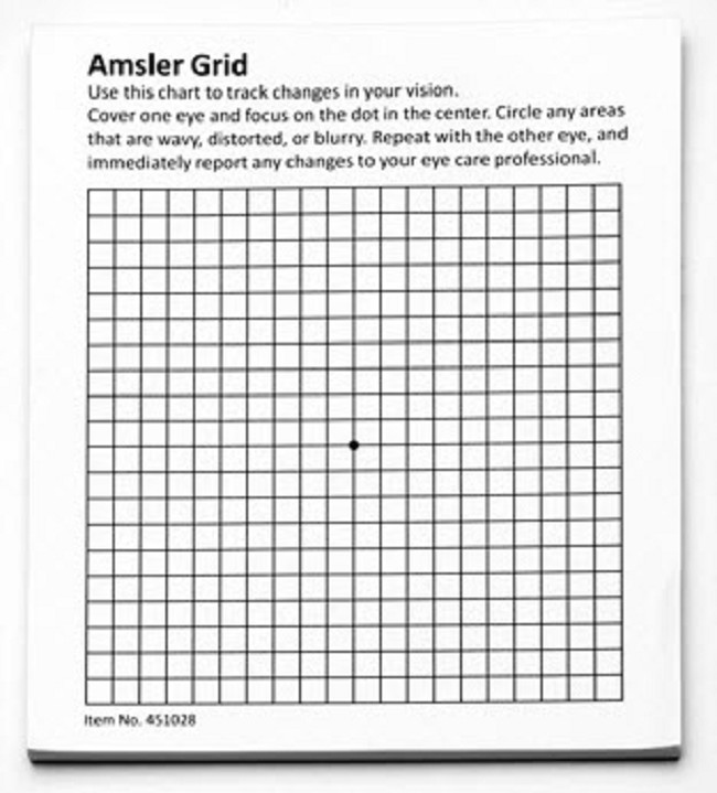 Amsler Grid Magnetic Pad For Sale Free Shipping