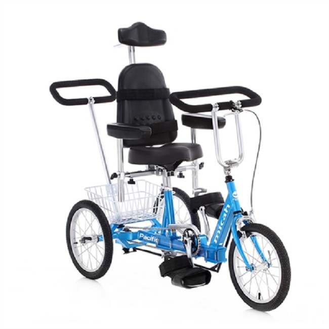 special needs tricycle