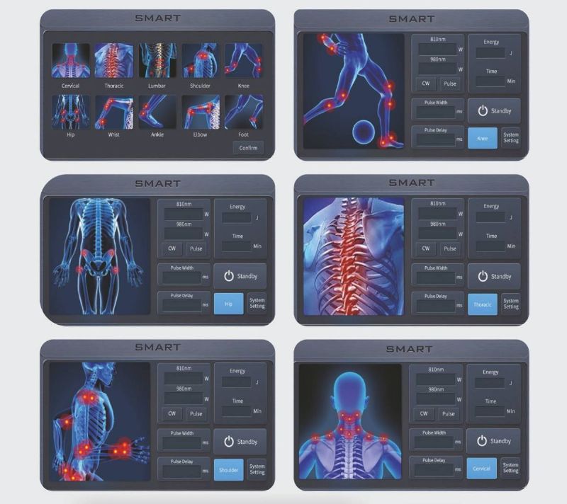 High Intensity Laser Therapy System with 30W Energy Range and Touchscreen Picture