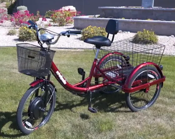 Adult size online tricycle