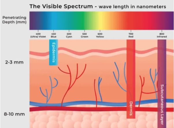 red-and-infrared-light-difference-infographic