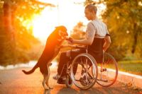 Get a Better Fit From Your Wheelchair: 6 Best Accessories