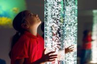 Making Sense of it: Are Autism and Sensory Processing Disorder the Same?