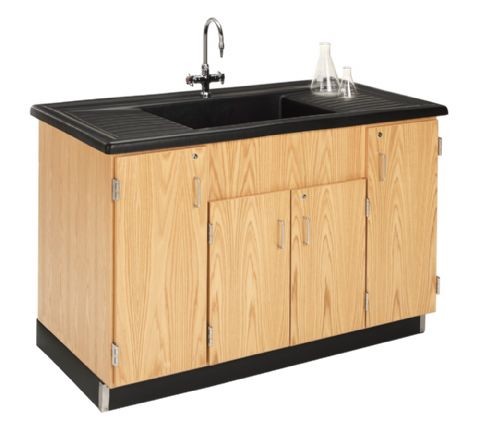 Science Laboratory Clean Up Sink