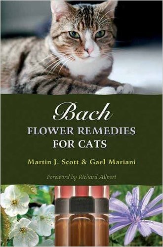 home remedies for pica in cats
